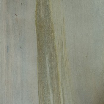 Guayubira velo blanco